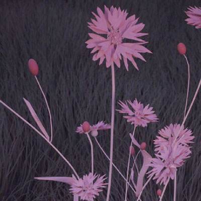 BOB体育综合官方APP下载8